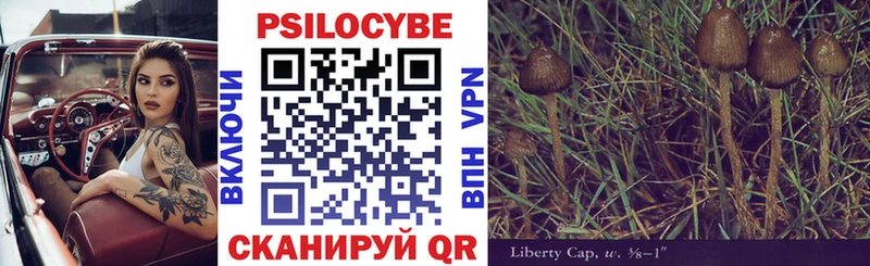 как найти закладки  Красновишерск  Псилоцибиновые грибы MAGIC MUSHROOMS 